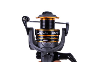SPOLE MIKADO - CARUS FD