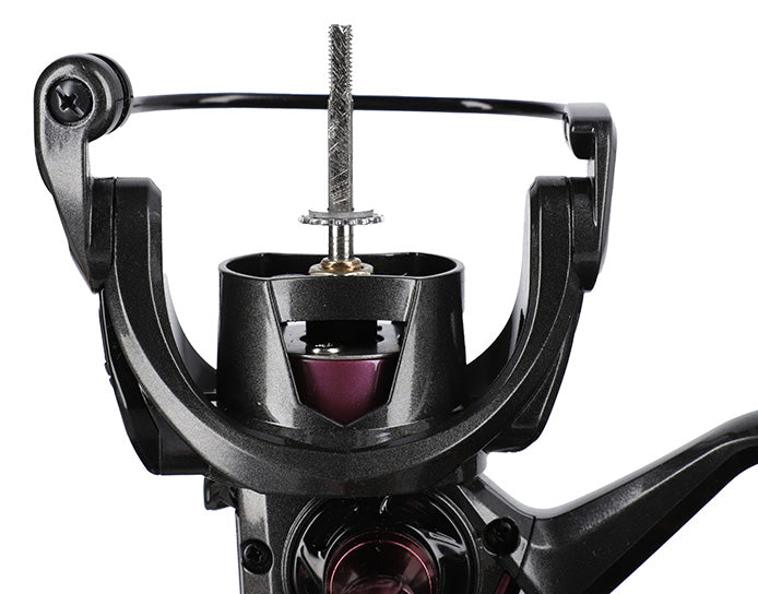 REEL - LADY BIXLITE 3006 FD