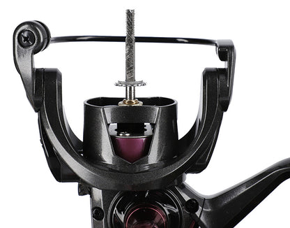 REEL - LADY BIXLITE 3006 FD
