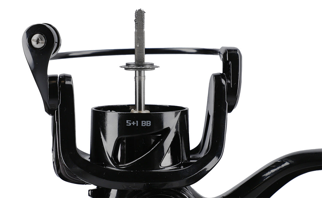 REEL - SENSUAL NG MATCH