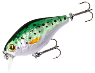 LURE MIKADO - FISHUNTER BOLD HEAD FLOATING
