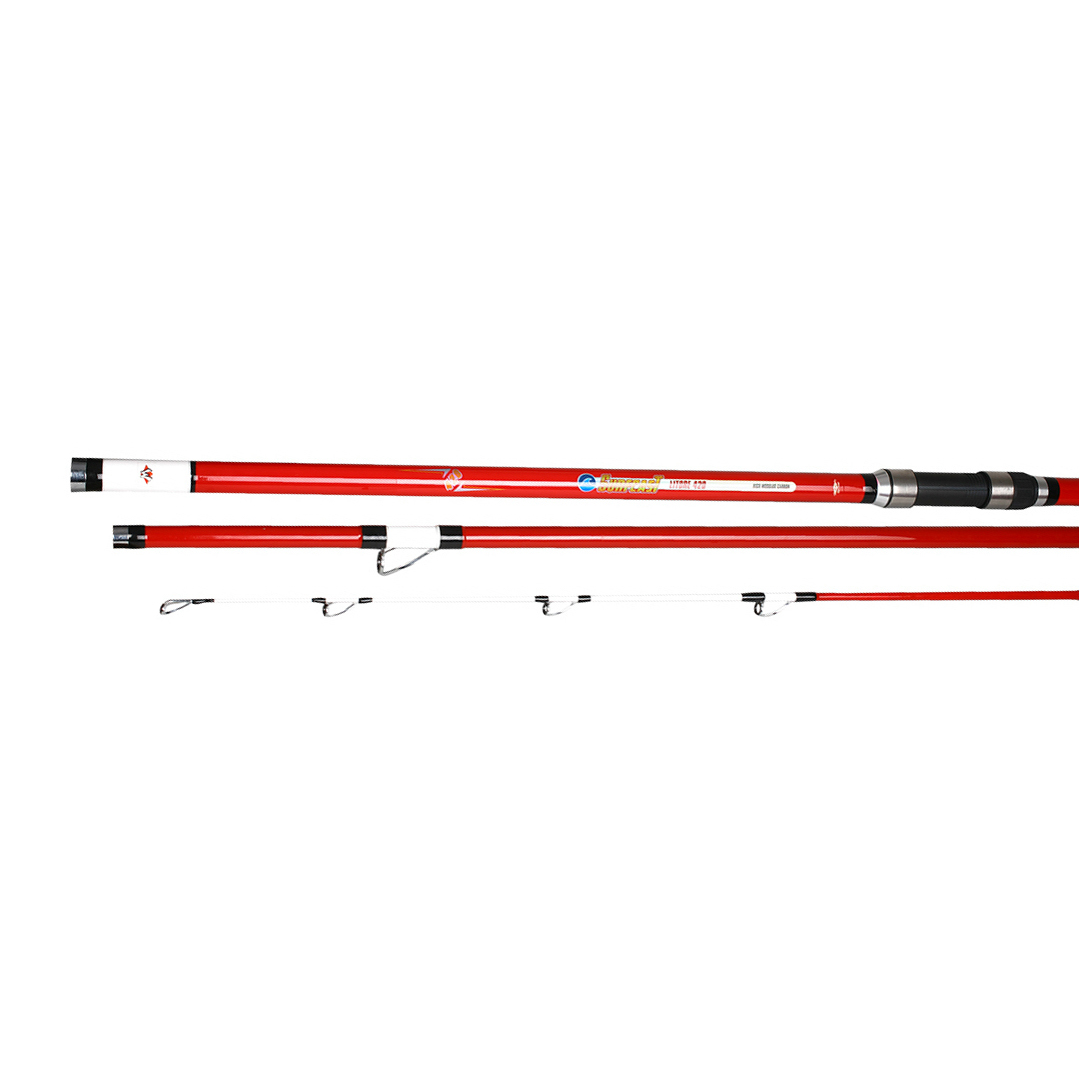 FISHING ROD MIKADO - SURFCAST LITORE 100-200g