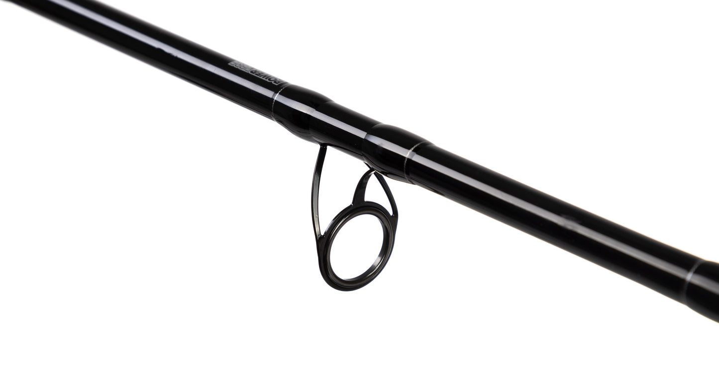 ROD - INTRO CATFISH up to 500g